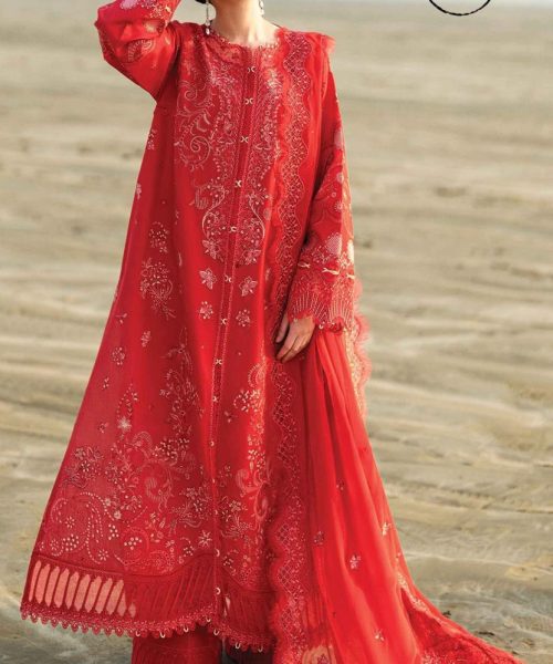 WhatsApp Image 2025-03-03 at 11.39.08 PM